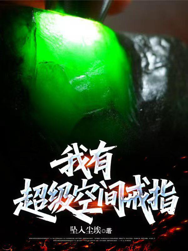 超级空间戒指笔趣阁
