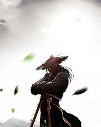 开局签到灵明石猴