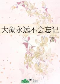 大象永远不会忘记谚语是什么