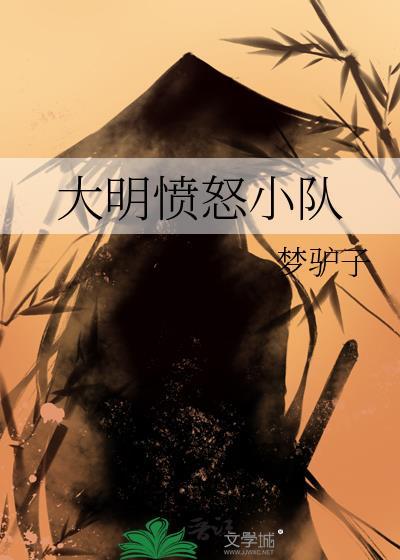 大明愤怒小队txt